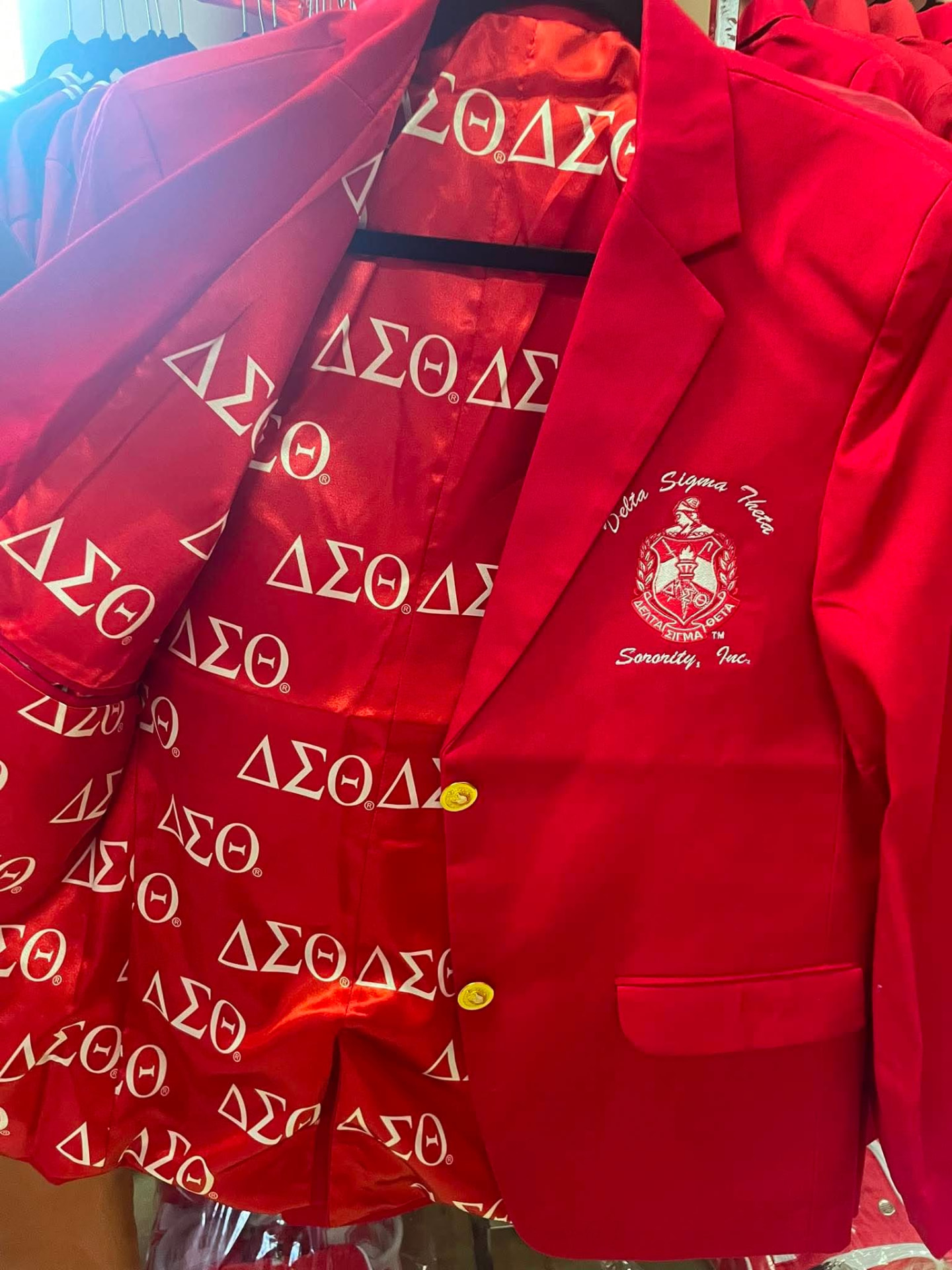 Red crest blazer opened to show its Delta Sigma Theta symbol lining